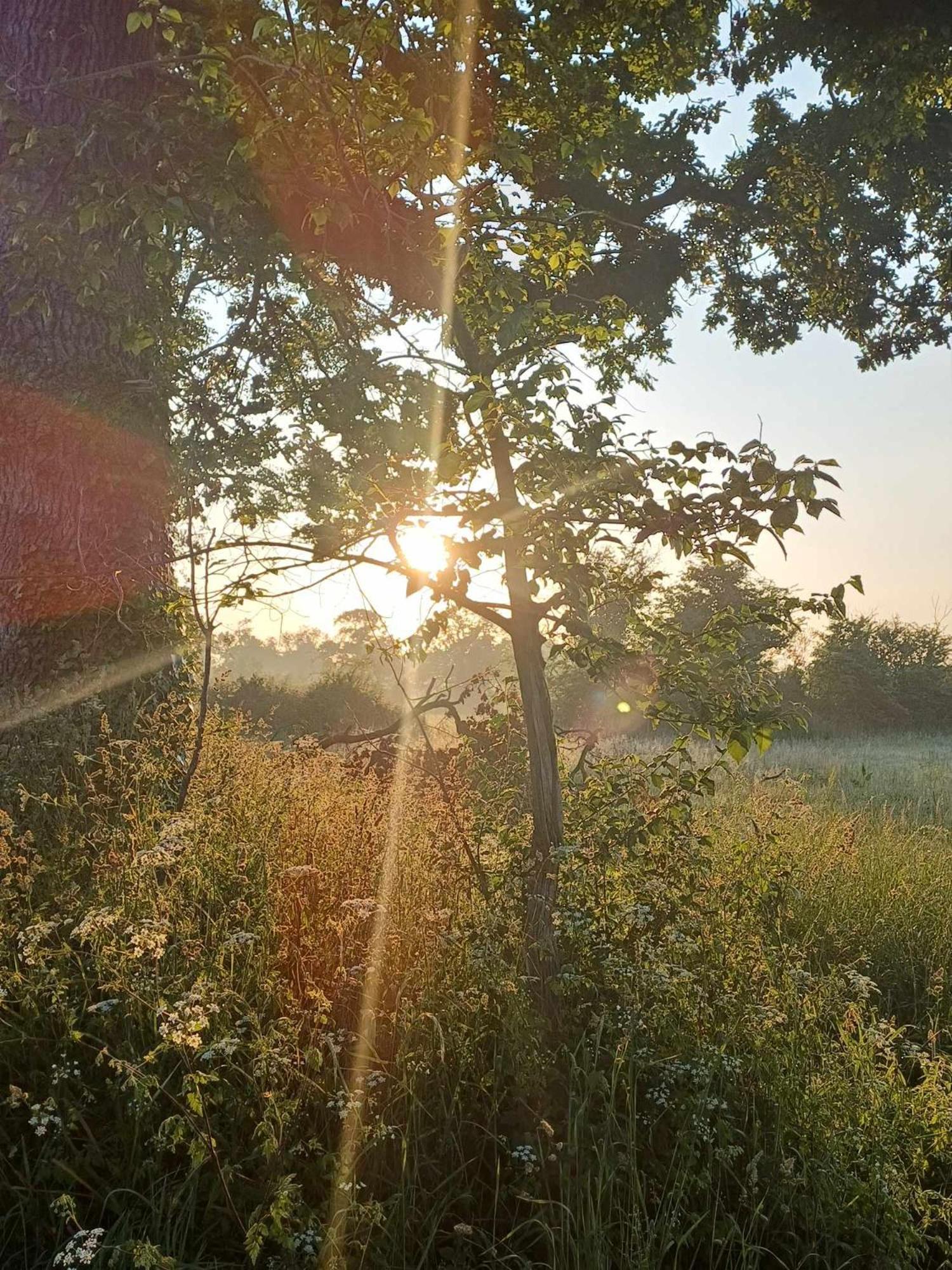 Auxais Memory 44' Bed and Breakfast Exteriör bild